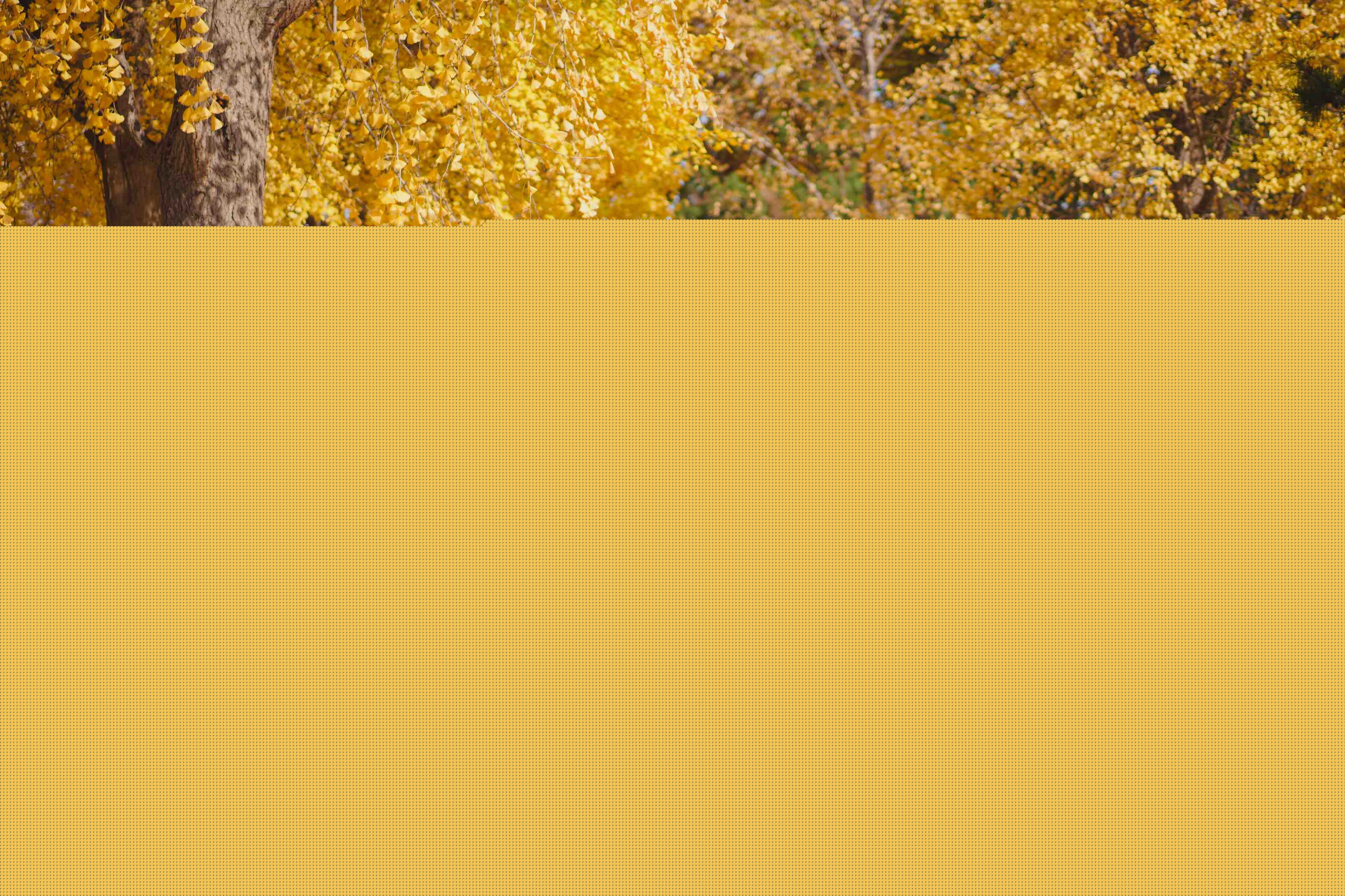 DSC04949-1.jpg