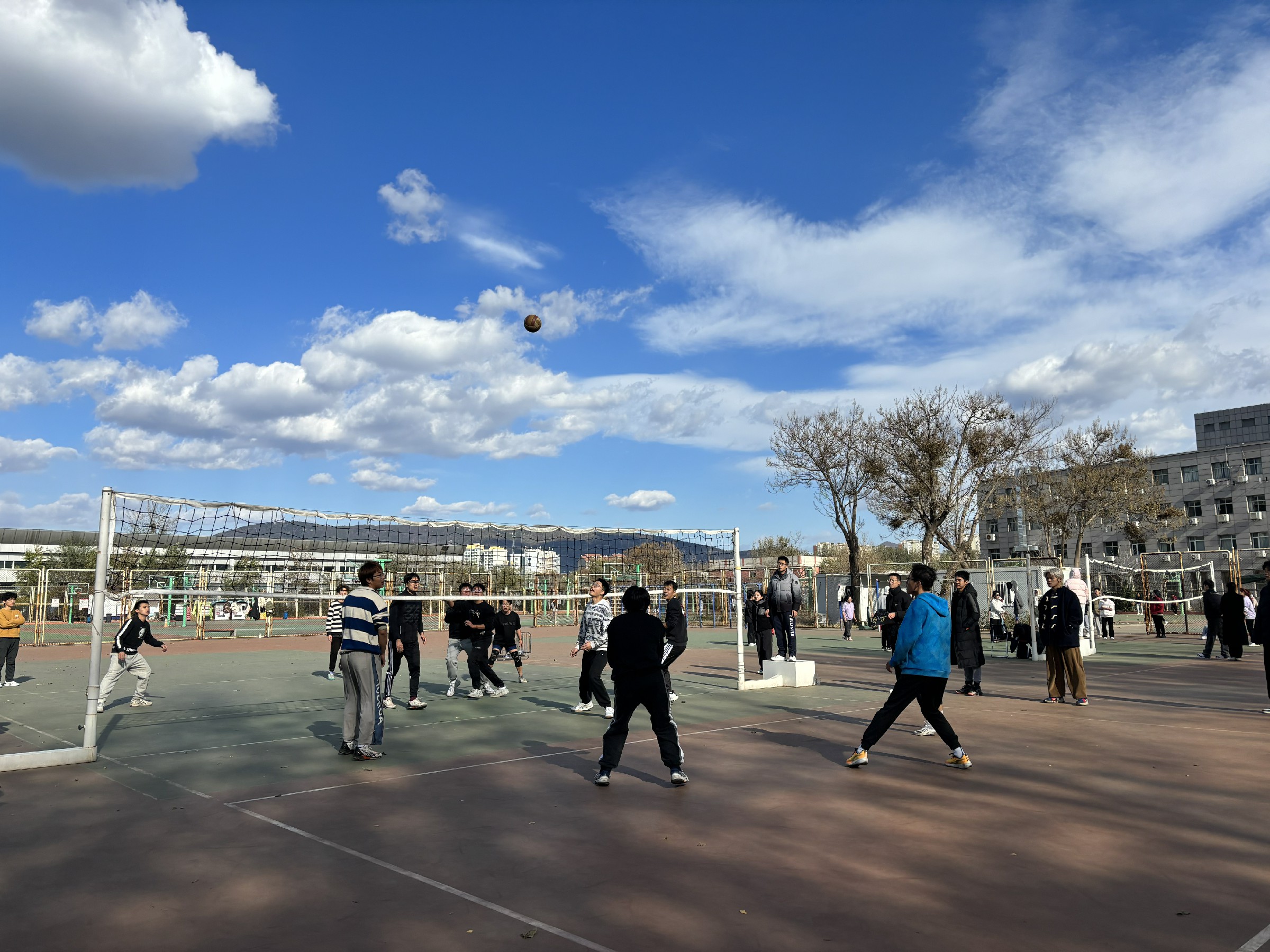 縮小.jpg